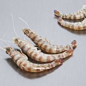 LLAGOSTI TUNEZ-BB- 1KG...