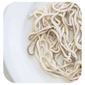 Gula Estrella Polar a (2)